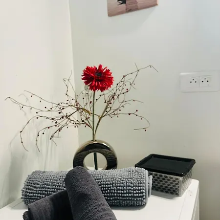 Maison Des Pins - Jardin, Calme Et - * サン・パレ・シュル・メール